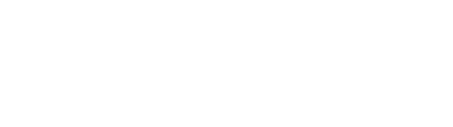 Atinum Investment